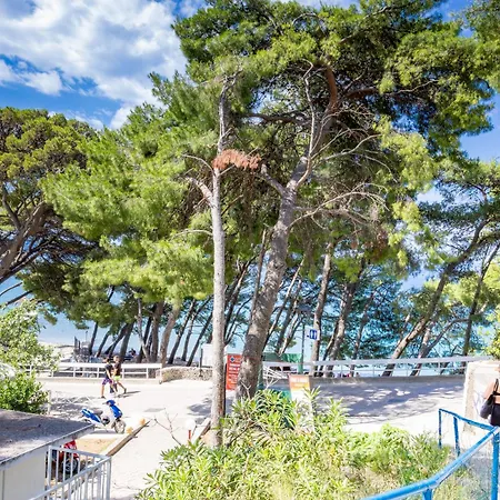 Beachfront Wave Srzic 마카르스카