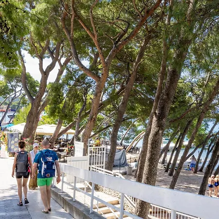 Beachfront Wave Srzic * 마카르스카