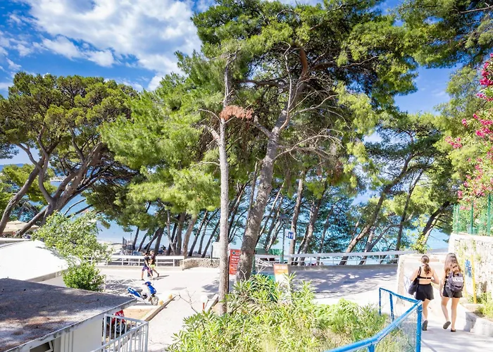 Beachfront Wave Srzic Makarska